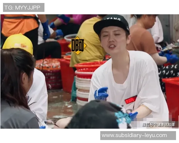 春日暖阳下的爱奇艺鹿晗足球会精彩瞬间回顾与球迷互动盛况