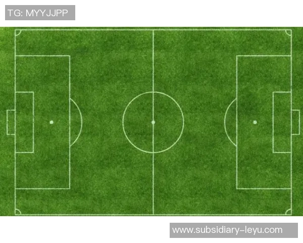 足球是圆的英文表达与其背后的文化意义探讨